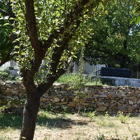 Apartment Dendrokipos