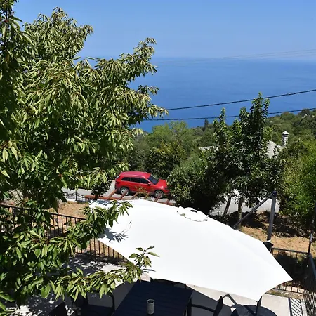 Dendrokipos Mouresi